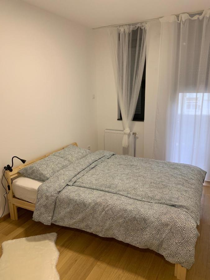 Iris Novi Sad